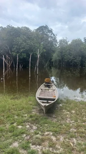 Terreno na Comunidade Cuieiras, próx: ao rio, medindo 25x100