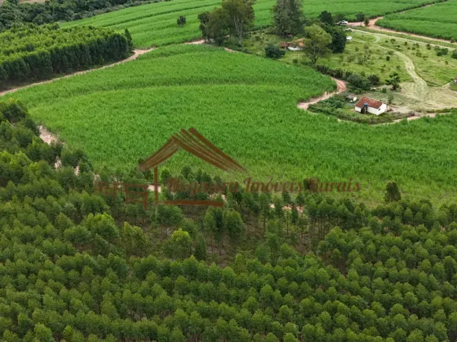 Fazenda com 94 alqueires na região de Avaré-SP