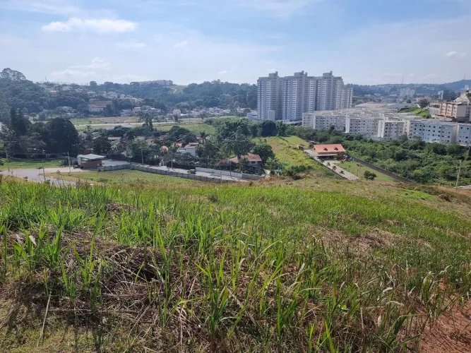 Lote / Terreno - Novo Horizonte