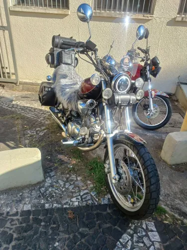 Virago 1100