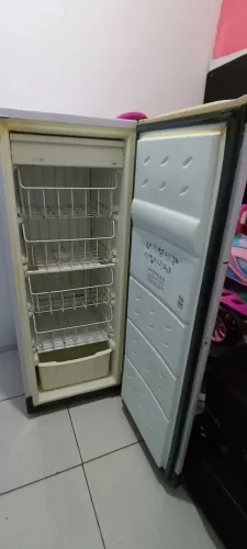 Freezer vertical 