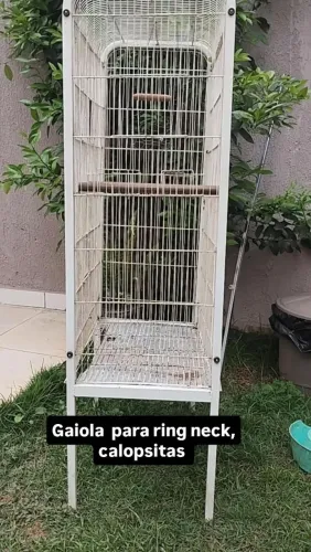 Gaiola 