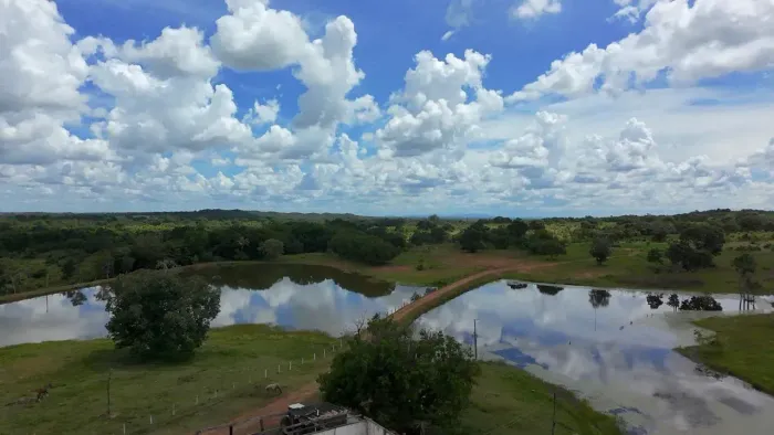 Fazenda 600 alqueires oportunidade Porangatu Go
