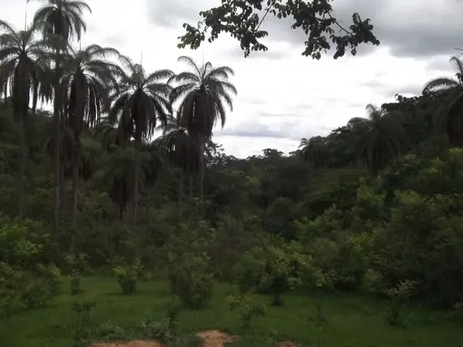 Lote rural de 36.000m ²,belíssima vista, nascente de água, Serra do Cipo.