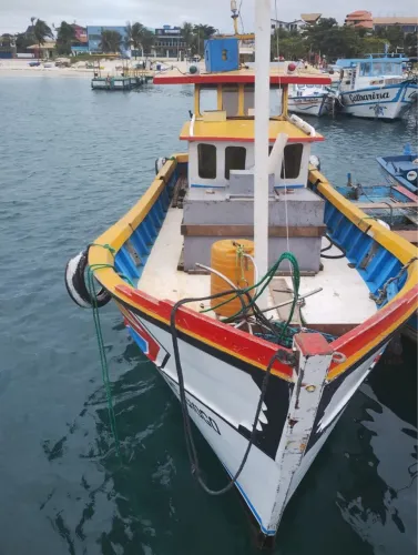 VENDO OU TROCO TRAINEIRA PARA PESCA E TRANSPORTE PASSSAGEIRO!