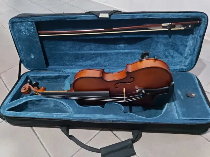 Violino 4/4 Eagle Ve 244