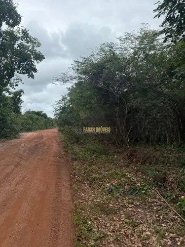 FAZENDA NO PIAUI - 3584 HECTARES