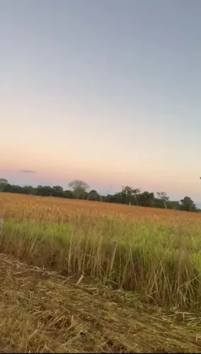 Fazenda a venda, em São Domingos / Goiás!