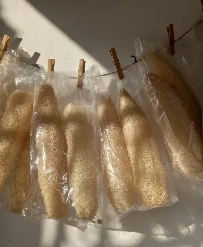  Bucha da roça, vegetal natural