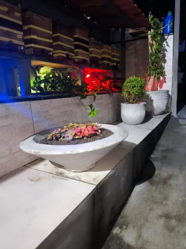 Bacias de cimento para plantas