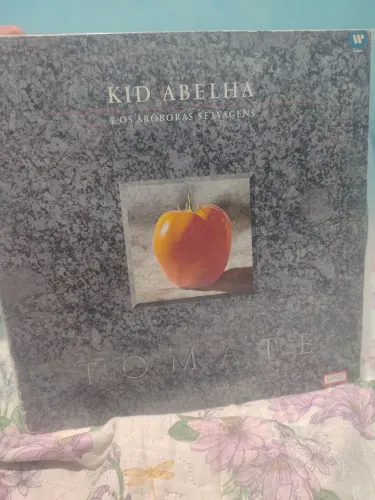 Disco de vinil kid abelha