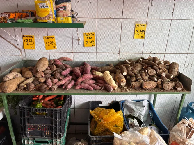 Vendo bancas de hortifruti