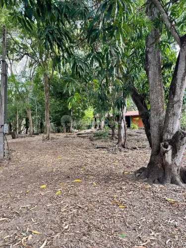 Sítio à venda, BR 343, Prox. Policia Rodoviária Federal, Área Rural, Teresina, PI