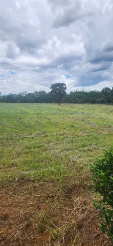 Vende chácara em ponte alta de baixo