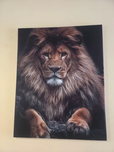 Quadro Grande 90x70cm Leão