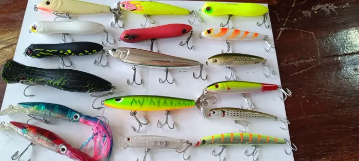 Kit isca artificial prós brutos 