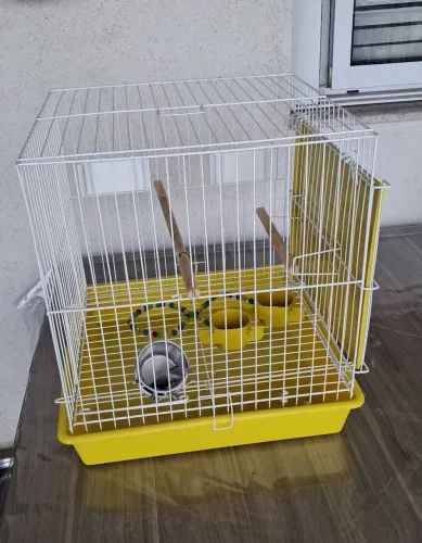 Gaiola de pássaro + brinquedos