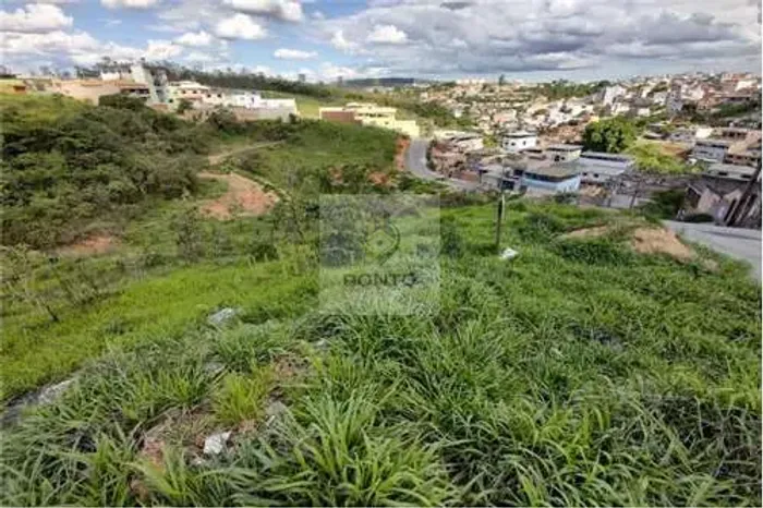 Terreno à Venda em Morada do Sol - 250m² MG