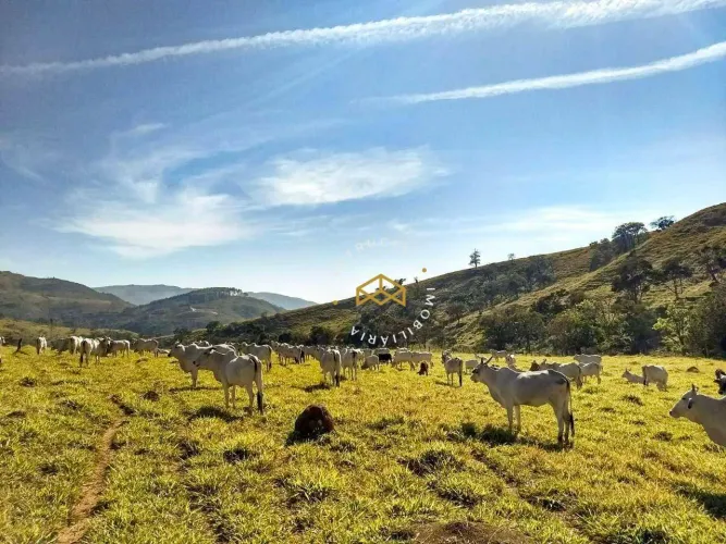 Fazenda com 3 dormitórios à venda, 1155200 m²- Fazenda Cachoeira - Ilicínea/MG
