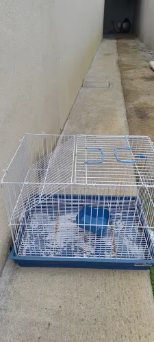 Gaiola Grande para Coelho ou Porquinho da Índia