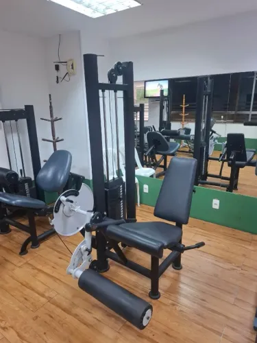 Cadeira Extensora Profissional Linha Turbine - Totalmente Reformada