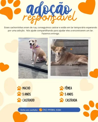 Adoção responsável.