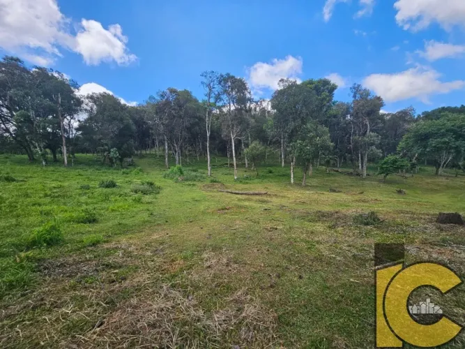 Terreno para investimento