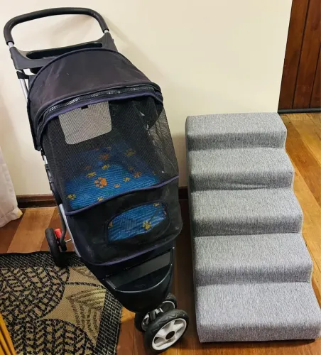 Carrinho + escada para pet