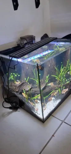 Aquario 30x30x30