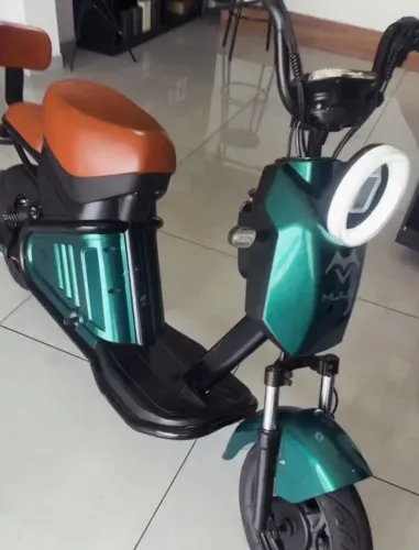 E-Bike Nice 1000