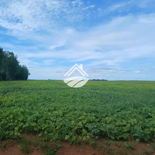 Fazenda para Venda em Araguacema, área rural de ampla expansão agropecuária