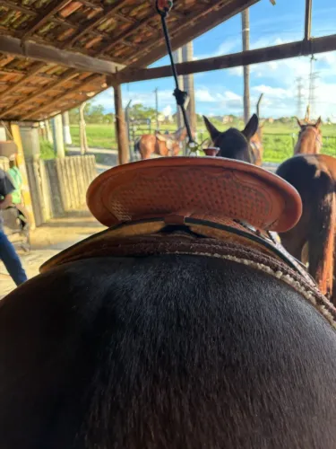 Sela de ranch sorting