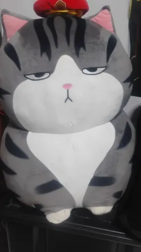 Gato pelúcia grande