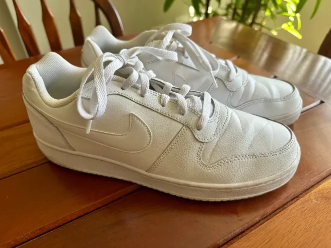 Tênis Nike Branco Masculino 42