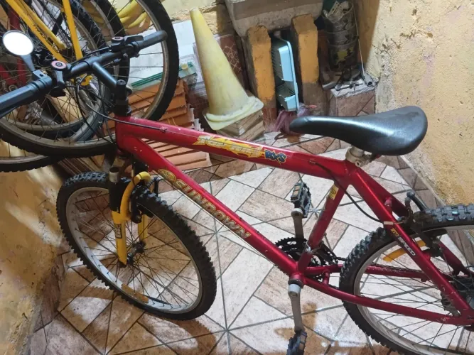 Bicicleta 