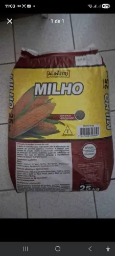 Vendo milho 25kg novo barato
