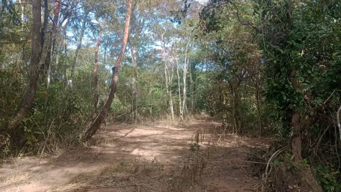 Terreno rural