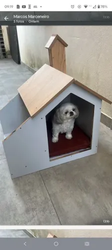 Casinha de cachorro