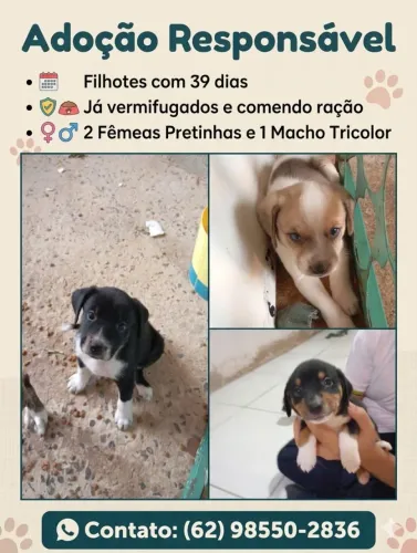 Doação responsável