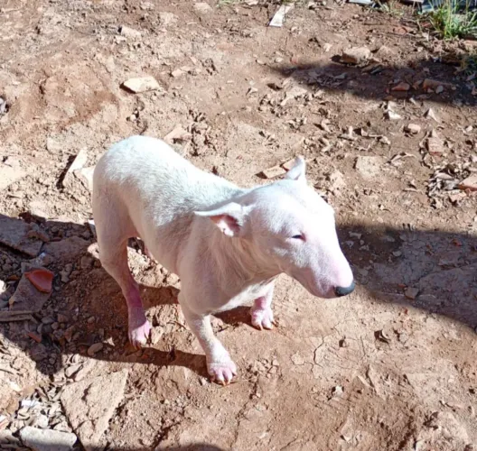 Doação