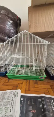 Gaiola para hamster