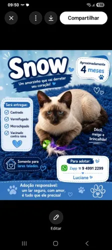Um lar para Snow