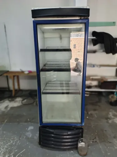 Freezer expositor 