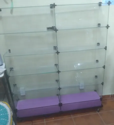 Vitrine de vidro 