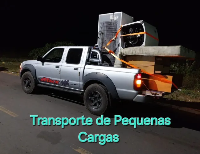 FRETE / TRANSPORTE DE PEQUENAS CARGAS