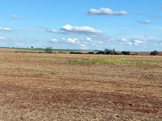 Fazenda de arrendamento 