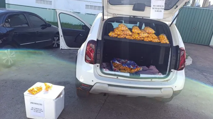 Vendo pequi 40 unidades em cada sacolinha por apenas 15 reais entrego na sua residência 