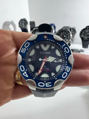 Citizen orca azul