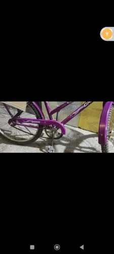 Bicicleta aro 24