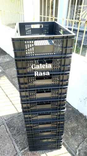 Galeia nova a partir de 31,90